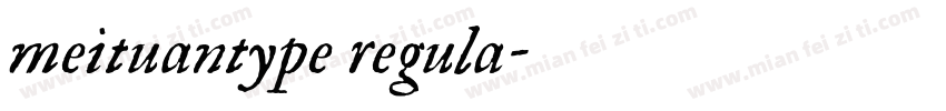 meituantype regula字体转换